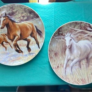 Wild Horse Decorative Plates Set